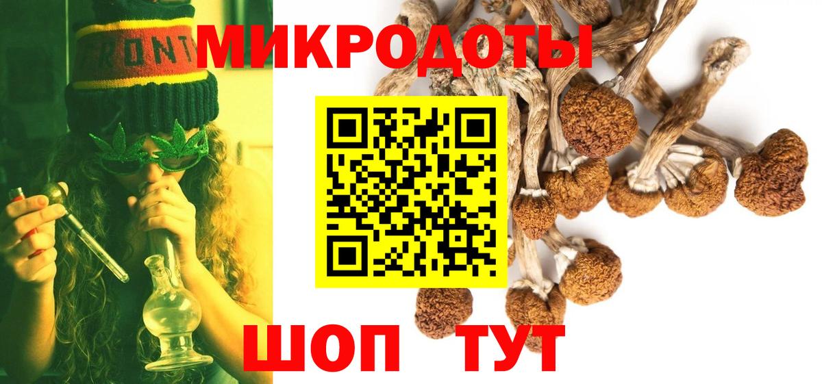 Кудрово  Псилоцибиновые грибы Cubensis  Псилоцибиновые грибы прущие грибы  Вход с VPN 