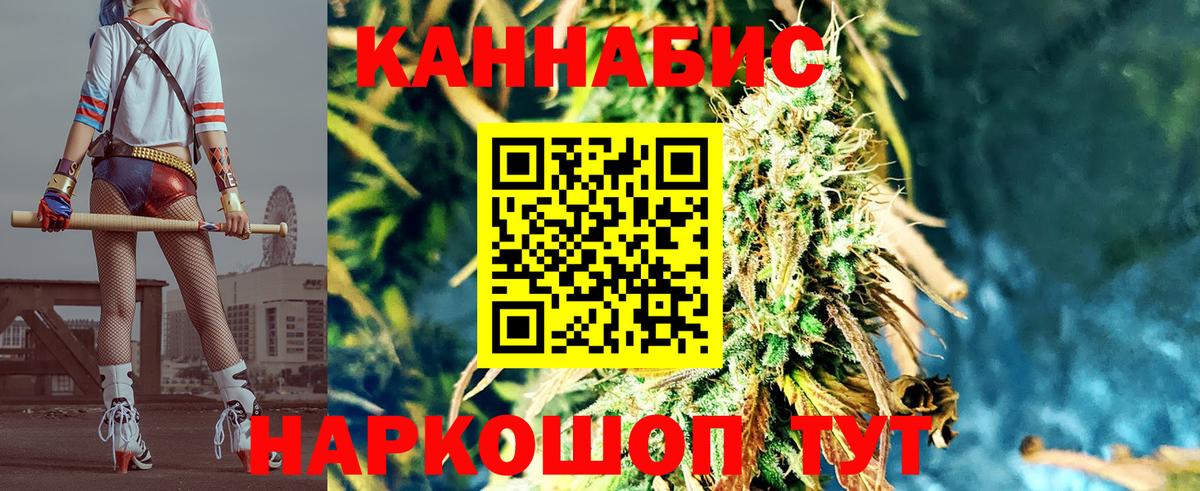 Каннабис тримм  Вход с VPN  Шишки марихуана SATIVA & INDICA  Кудрово  Шишки марихуана гибрид 